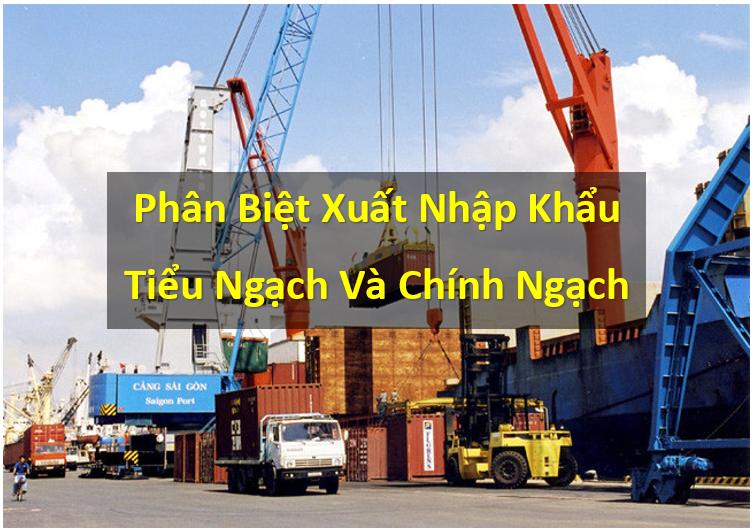 Phân Biệt Nhập Khẩu Chính Ngạch và Tiểu Ngạch Là Gì ?